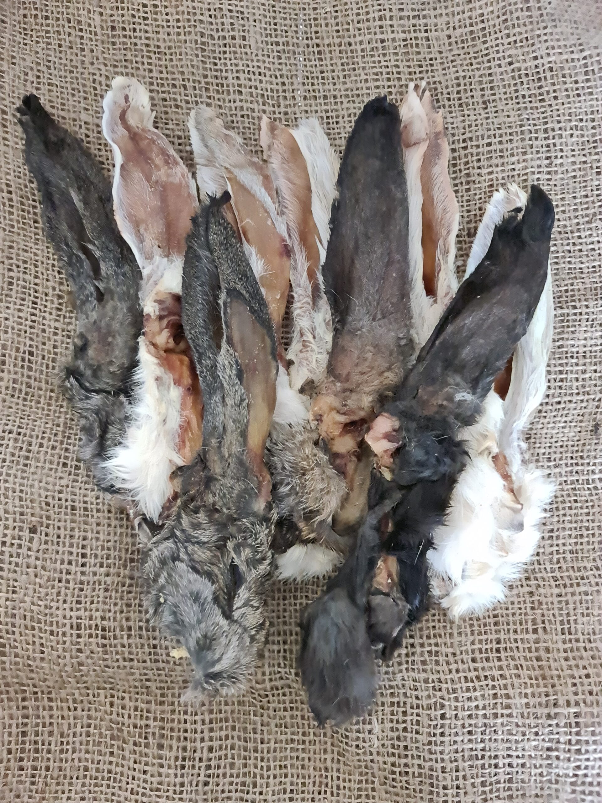 Dried Rabbit Ears with hair single/100g