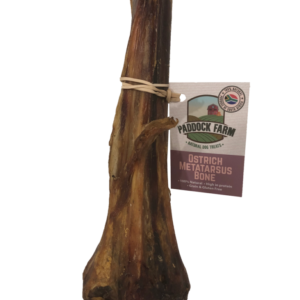 Ostrich metatarsus Bone