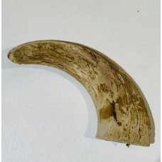 Natural Lamb horn marrow