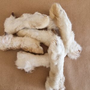 Hairy Rabbit Feet