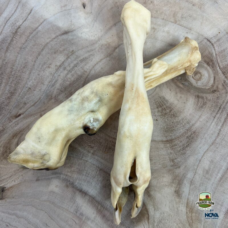 Lambs leg