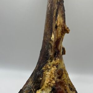 Paddock Farm Large Ostrich Tibia Bone
