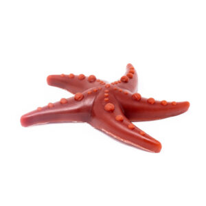 Natural Cornish Pet Apple & Mint Star Fish
