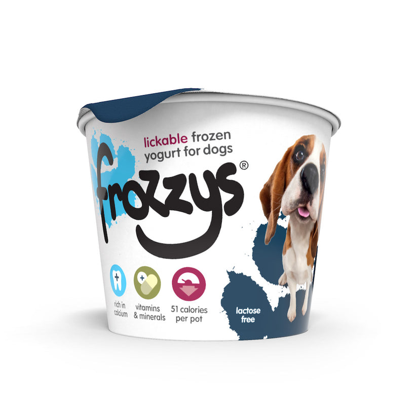 Frozzys Frozen Yogurt - Blueberry - Image 2