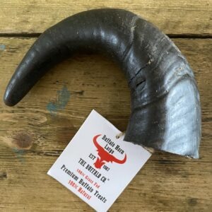 Buffalo Horn